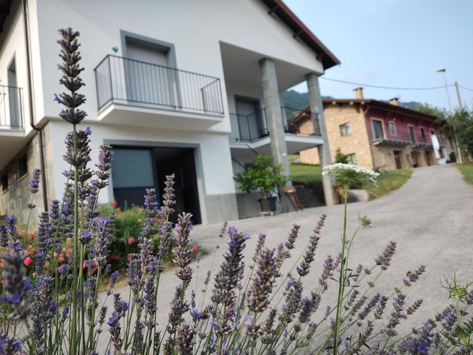 Ca' Dei Vescu - Villetta Per Vacanze Демонте Экстерьер фото